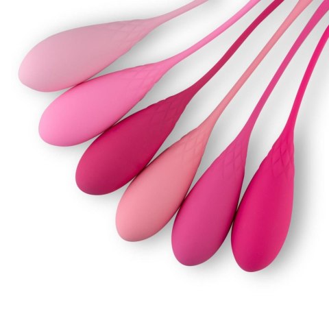FEMCORE™ Evolution – 6-Step Kegel Progress Set FEMCORE™ Evolution – 6-Step Kegel Progress Set