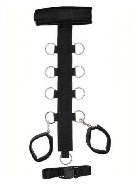 T Shape Collar And Wirst Restrain T Shape Collar And Wirst Restrain