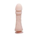BAILE - The Big Penis, Vibration, Suction base