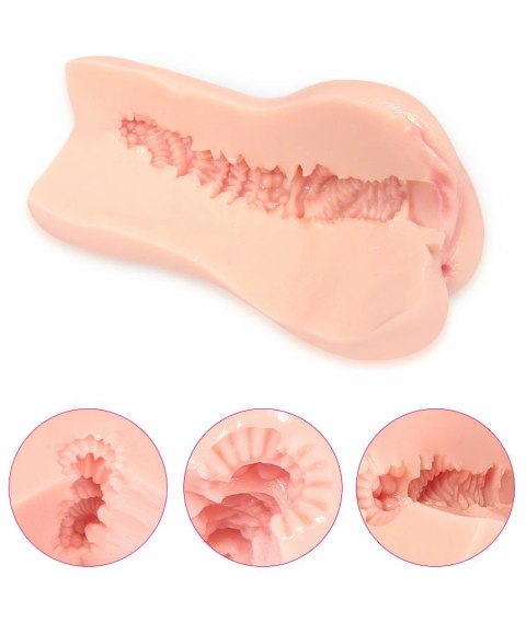 Kokos Bellana L - Model anatomiczny z rozbudowaną strukturą wnętrza Kokos Bellana L - Model anatomiczny z rozbudowaną strukturą wnętrza