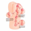 Kokos Bellana L - Model anatomiczny z rozbudowaną strukturą wnętrza