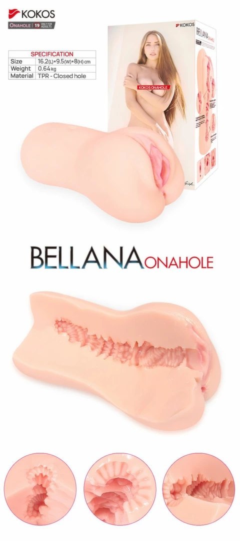 Kokos Bellana L - Model anatomiczny z rozbudowaną strukturą wnętrza Kokos Bellana L - Model anatomiczny z rozbudowaną strukturą wnętrza