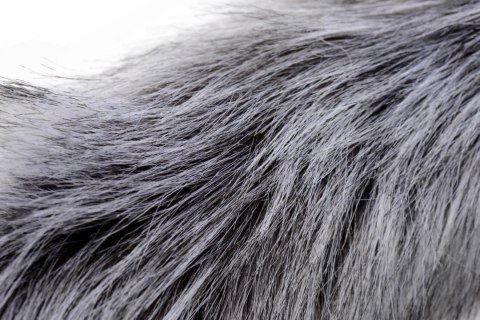 Tailz Grey Wolf zestaw ogon z futerkiem i opaska z uszami 59,7 cm Tailz Grey Wolf zestaw ogon z futerkiem i opaska z uszami 59,7 cm