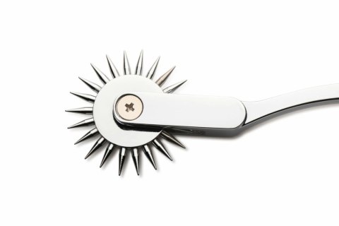 XR Brands Wartenberg Wheel Silver - precyzyjne narzędzie do stymulacji skory XR Brands Wartenberg Wheel Silver - precyzyjne narzędzie do stymulacji skory